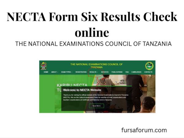 How to Check NECTA Form Six Results Online