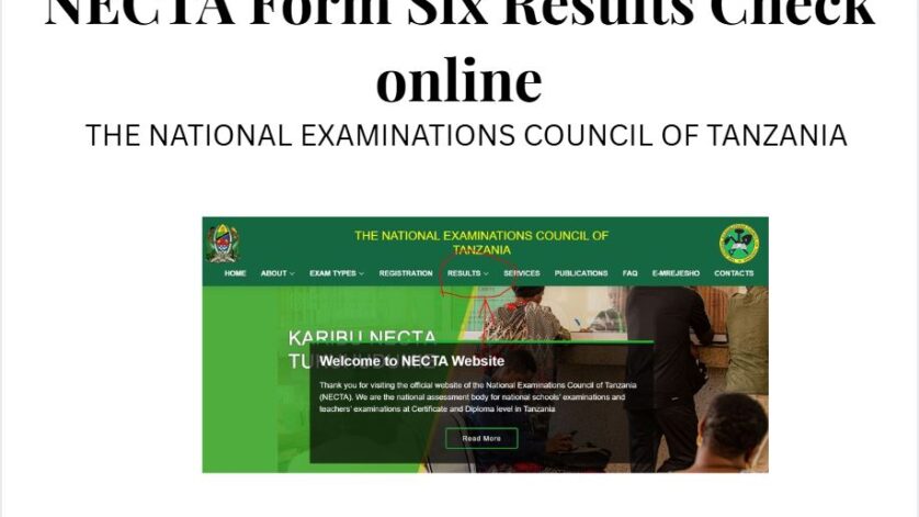 How to Check NECTA Form Six Results Online