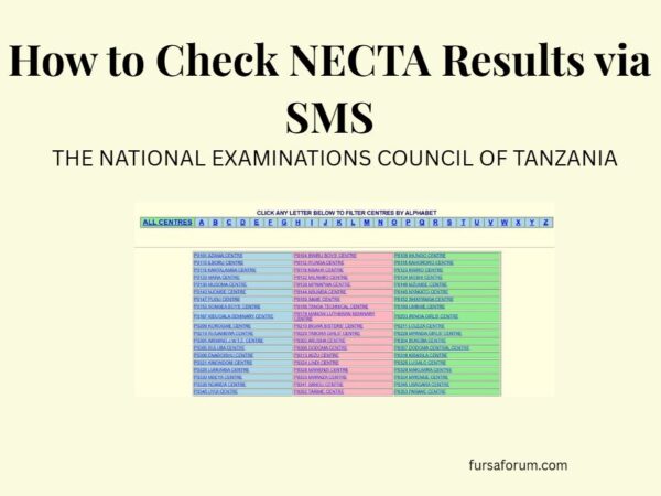 How to Check NECTA Results via SMS