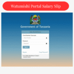 Tanzania Salary Slip Portal