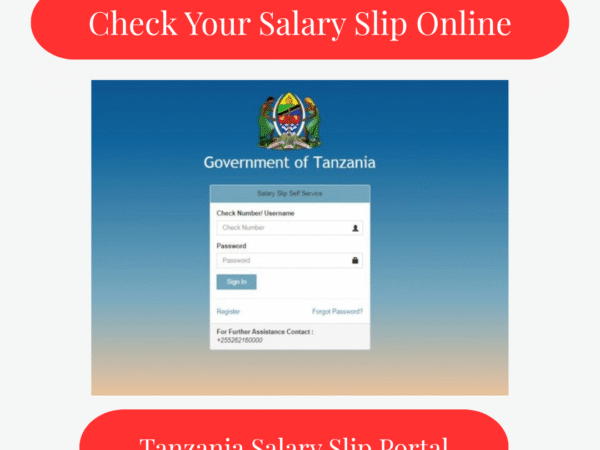 Check Your Salary Slip Online